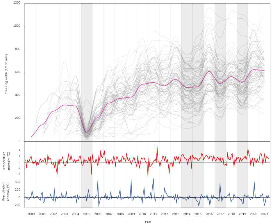분비나무 채종원 90개체의 연간 생장량. 짙은 선은 평균 생장량을 나타냄. 아래는 기온(붉은 선)과 강수량(파란 선) 편차