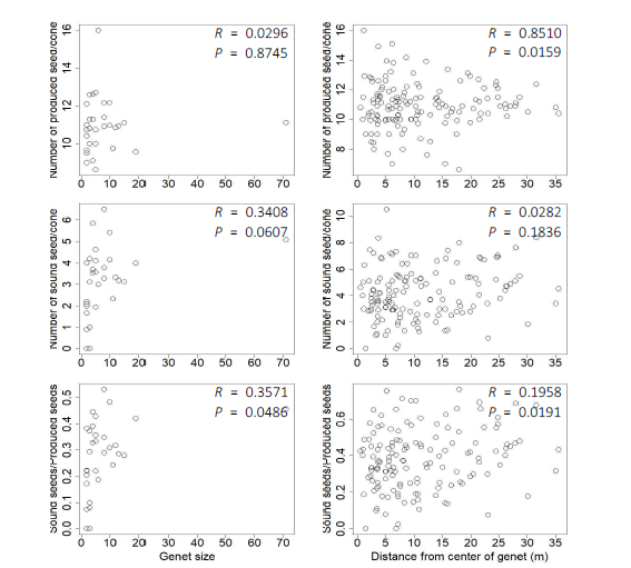 왼쪽은 유전자형의 크기에 따른 구과당 종자생산량(상), 충실종자량(중), 충실종자율,오른쪽은 제넷 중심부에서 개체까지의 거리에 따른 구과당 종자생산량(상), 충실종자량(중), 충실종자율의 상관분석 결과(R = Pearson correlation coefficient, P = p-value)