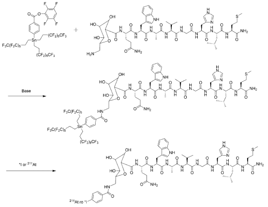 수정된 *I 또는 211At-표지 galacto-BBN의 합성