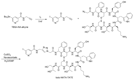 Iodo-NATA-TATE 화합물 합성