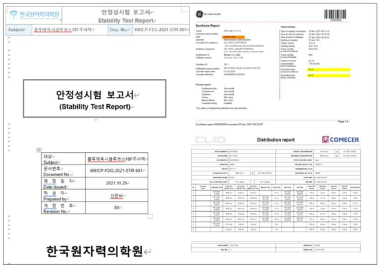 안정성 시험 보고서