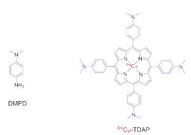 DMPD와 64Cu-TDAP의 구조