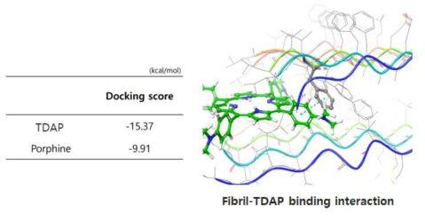 피브릴과 TDAP의 상호작용 Docking study