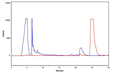 반응혼합물의 HPLC 크로마토그램. 방사성리간드의 tR = 24-26분 방사능 검출기(빨간색) 및 UV 검출기(254 nm, 파란색)