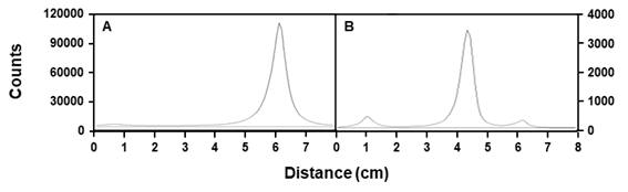 18F-표지 반응 후(A)와 deprotection 후 (B)의 반응혼합물의 radio-TLC 결과