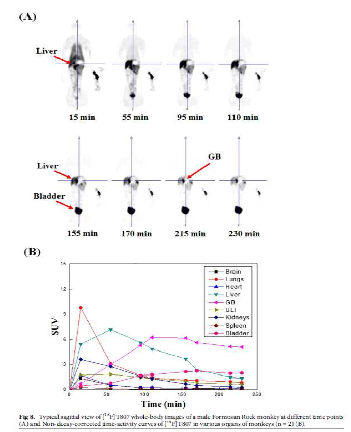 원숭이에서의 18F-T807 PET/CT 영상과 시간에 따른 섭취 (SUV)변화