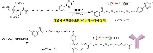 3-[123 or 125]IBTTT의 합성