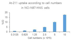 hNIS 발현 종양세포주에서 세포수에 따른 At-211의 시험관내 섭취 분석. 동일한 용량의 At-211을 처리하였을 때 hNIS가 발현된 종양 세포수가 증가에 따라 세포내 섭취 정도 또한 비례하여 증가함을 확인하였음