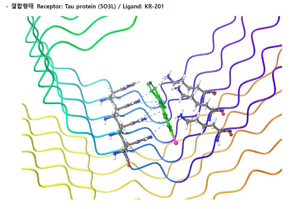 Tau filament protein(PDB ID: 503L) 구조에서 KR201의 결합력