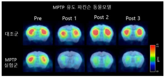MPTP유도 파킨슨 동물모델의 [18F]FP-CIT PET과 MRI template fusion 영상