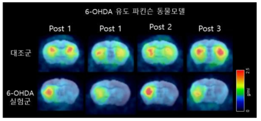 6-OHDA 유도 파킨슨 동물모델의 [18F]FP-CIT PET과 MRI template fusion 영상