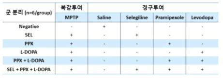 MPTP 유도 파킨슨 동물모델을 이용한 치료효능 평가 그룹정보