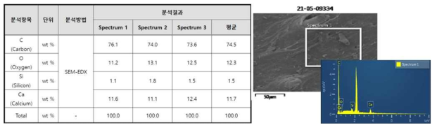 SEM/EDX 원소조성결과 및 Spectrum