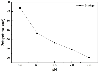 pH에 따른 대상 슬러지의 Zeta 전위
