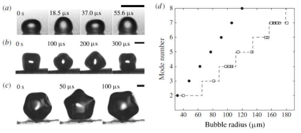 Disruptive bubble behaviour leading to microstructure damage in an ultrasonic field (Kim T.H. et al. 2014)