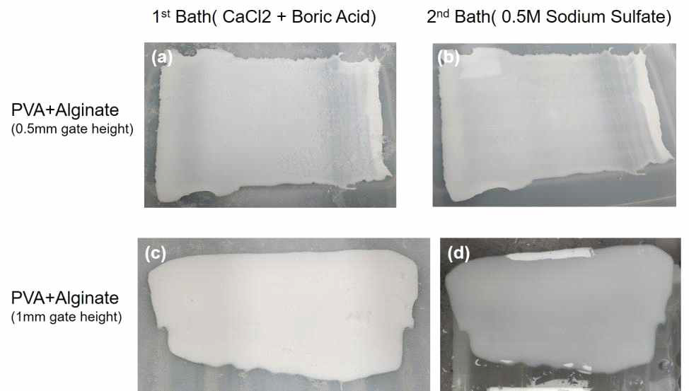 서로 다른 gate height 조건으로 코팅된 free-standing sheet가 1차 가교용액 및 2차 가교용액에 침지돼 있는 이미지