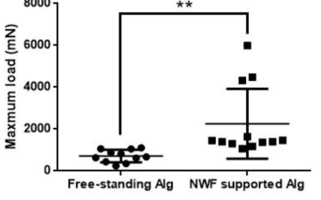 Free-standning sheet와 NWF support sheet의 maximum load. Unpaired t test 결과, P value는 0.0066이었고, 이를 통해 maximum load 상의 유의미한 차이가 있는 것을 확인할 수 있었음 (**P<0.01). n=11 과 12는 각각 free-standing과 NWF 로 support된 sheets를 나타냄