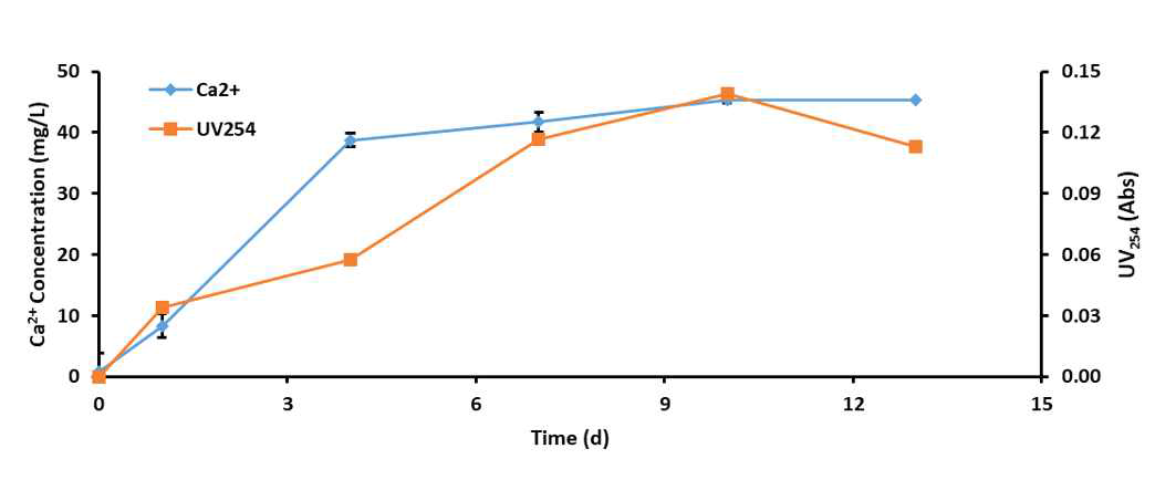 공담체 침지 용액의 시간에 따른 Ca2+ 및 UV254 변화