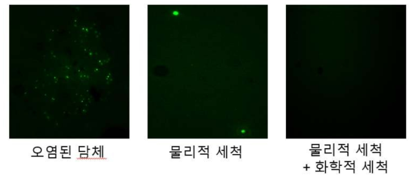 세척 방법에 따른 담체 표면의 미생물 오염 변화