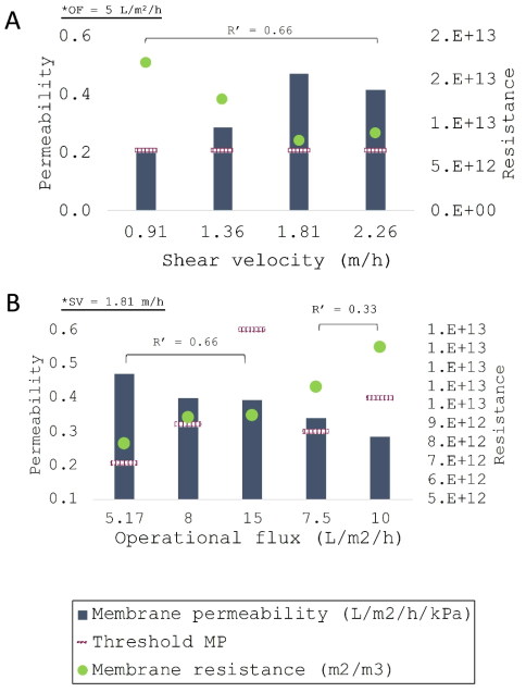 (A)shear velocity와 (B)operational flux에 따른 자가생성막의 여과특성