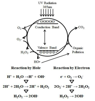 UV 기반 TiO2의 광촉매 반응