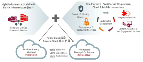 동일 기술, 경험, 아키텍처를 제공하는 PaaS