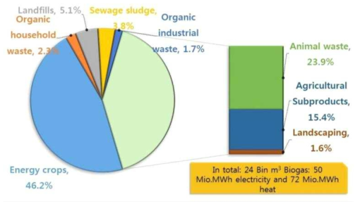 바이오가스화를 위한 주요 feedstock (유럽)
