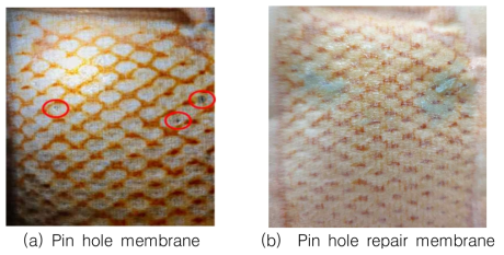 Pin hole 보수 전·후 이온교환막 표면사진