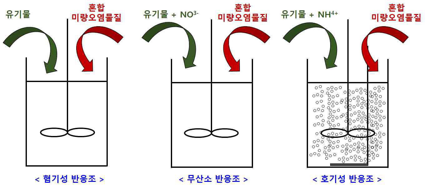 회분식 실험실 규모 생물학적 처리 공정 실험 조건