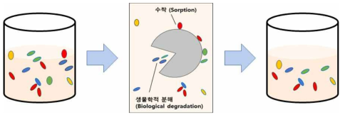 생물조 내 미량오염물질의 제거 기작