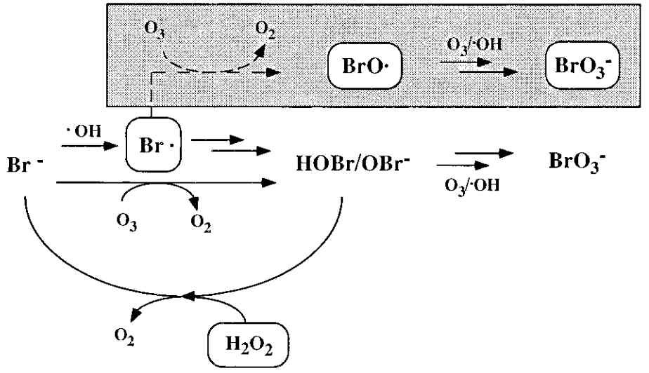 Br-를 포함하는 수질의 오존처리 시 bromate 생성 메커니즘 (von Gunten and Oliveras, 1998)