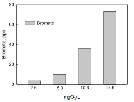 오존주입량에 따른 bromate 생성