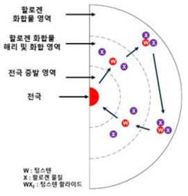 할로겐 사이클