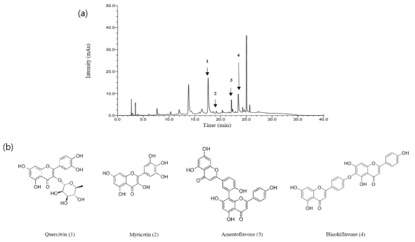 High-performance liquid chromatography chromatograms of the ethanol extract of Chamaecyparis obtuse leaf extract (a) and (b) Quercitrin, Myricetin, Amentoflavone and Hinokiflavon standard compounds