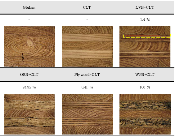 집성재와 hybrid CLT의 삶음 박리 시험 결과
