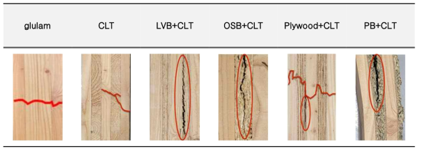 집성재, hybrid CLT 압축강도 시험 후 파괴유형