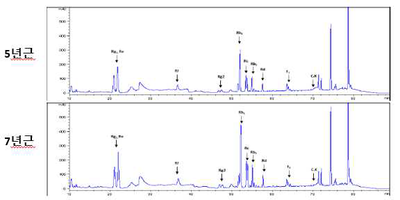 산양삼 5년근 및 7년근의 진세노사이드 함량 증가 - 출처: Kor. J. Food Preserv., 26: 90-100 (2019)