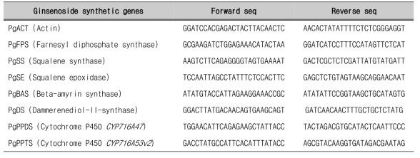 인삼 유전자 발현분석을 위한 qPCR에 사용한 primers