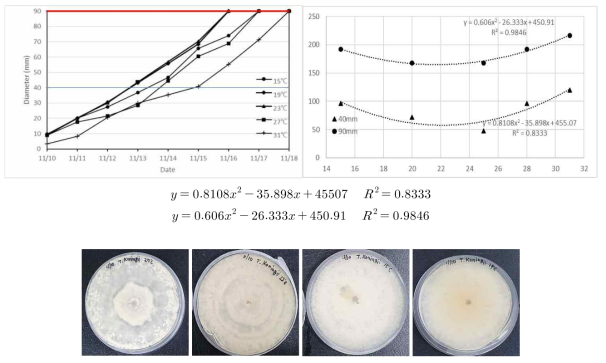 PDA 배지 상에서의 Trichoderma koningii (PG65)의 생육적온과 온도별 생육 속도