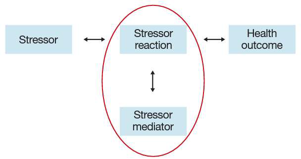 스트레스 역학