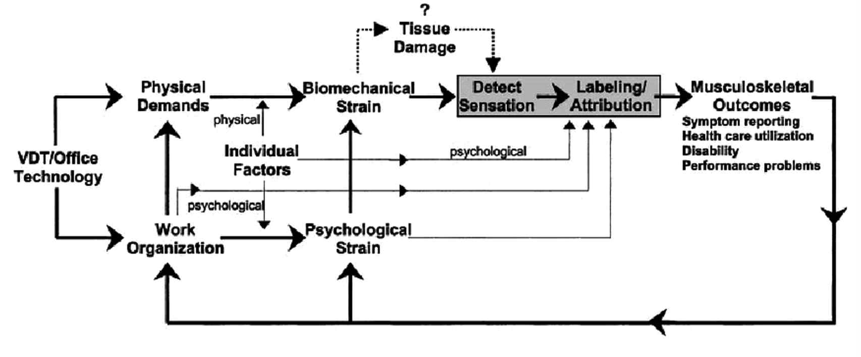 Melin와 Lundberg의 생정신사회적 모델((biopsychosocial model)