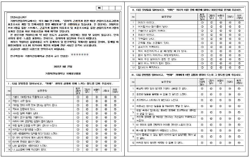 자료수집에 활용한 설문지(일부 발췌)