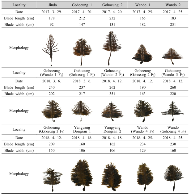 Genetic resources collection of Undaria pinnatifida in 2017-2018