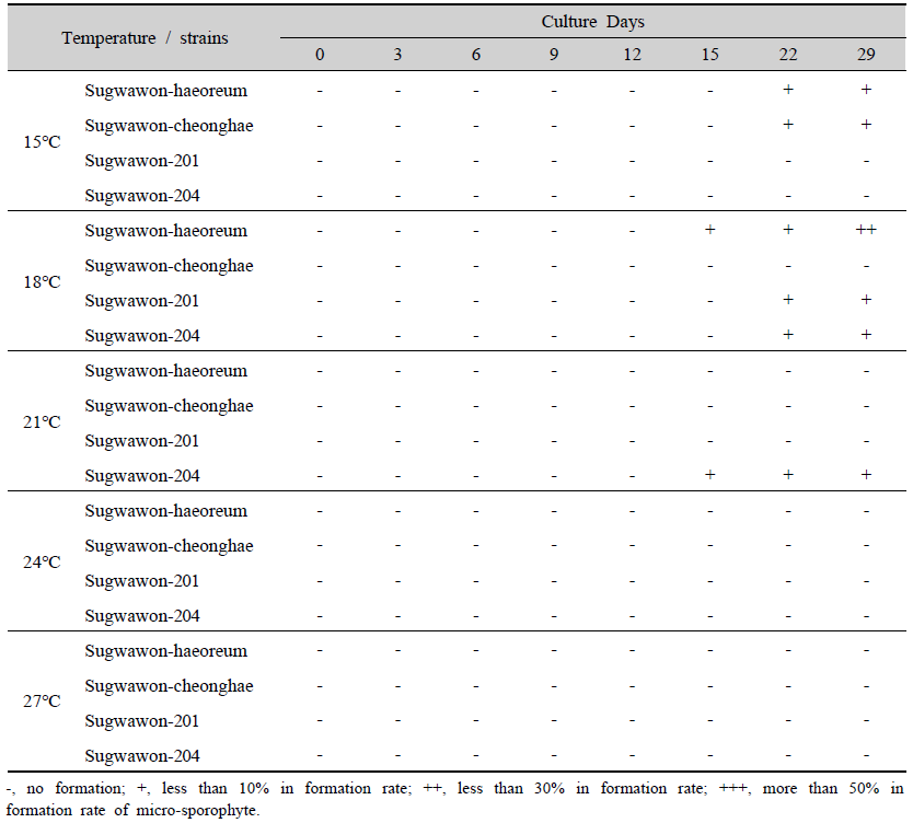 Development of micro-sporophyte by culture temperature after stimulation of high temperature (30℃)