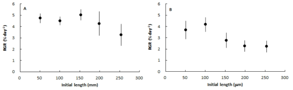Relative growth rate of female (A) and male (B) gametophytic fragments in Undaria pinnatifida according to the initial length of fragment after 20 days culture 20 μmol/m2/sec and 14:10 h (L:D). Vertical bars represent S.D