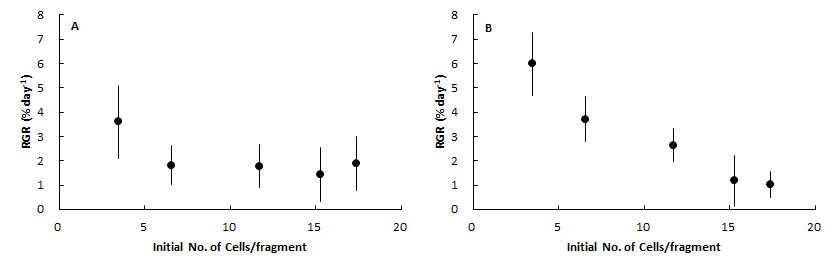 Relative growth rate of female (A) and male (B) gametophytic fragments in Undaria pinnatifida according to the number of initial cells of fragment after 20 days culture 20 μmol/m2/sec and 14:10 h (L:D). Vertical bars represent S.D