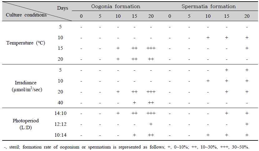 Gametophytic maturation and oogonia or spermatia formation of gametophyte under temperature,irradiance and photoperiod conditions in Undaria pinnatifida