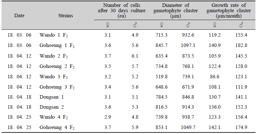 Growth and growth rate of male and female gametophytes of Undaria pinnatifida (Mean value)