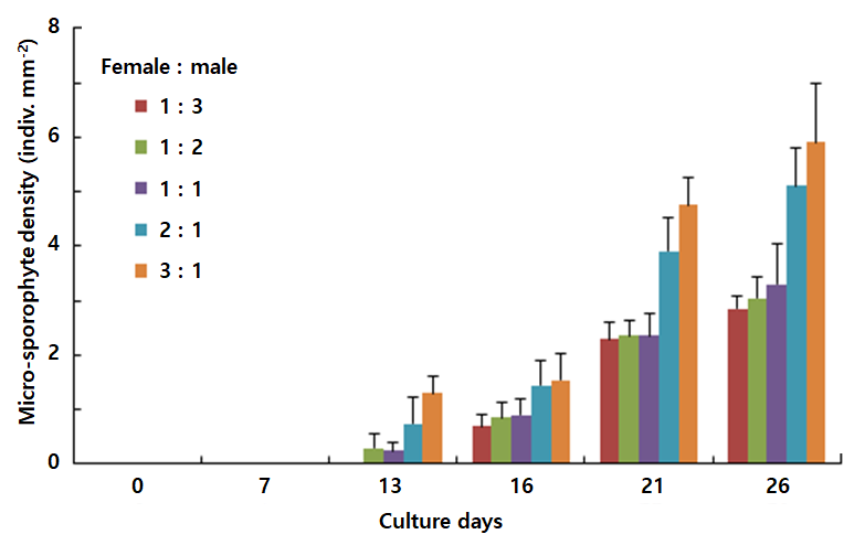 Micro-sporophytes density by female and male gametophyte ratio of Undaria pinnatifida