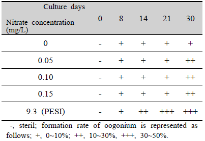 Oogonia formation of female gametophyte under different Nitrate concentration (mg/L) in Undaria pinnatifida